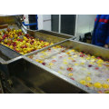 High pressure mushroom fruit washing cleaning machine